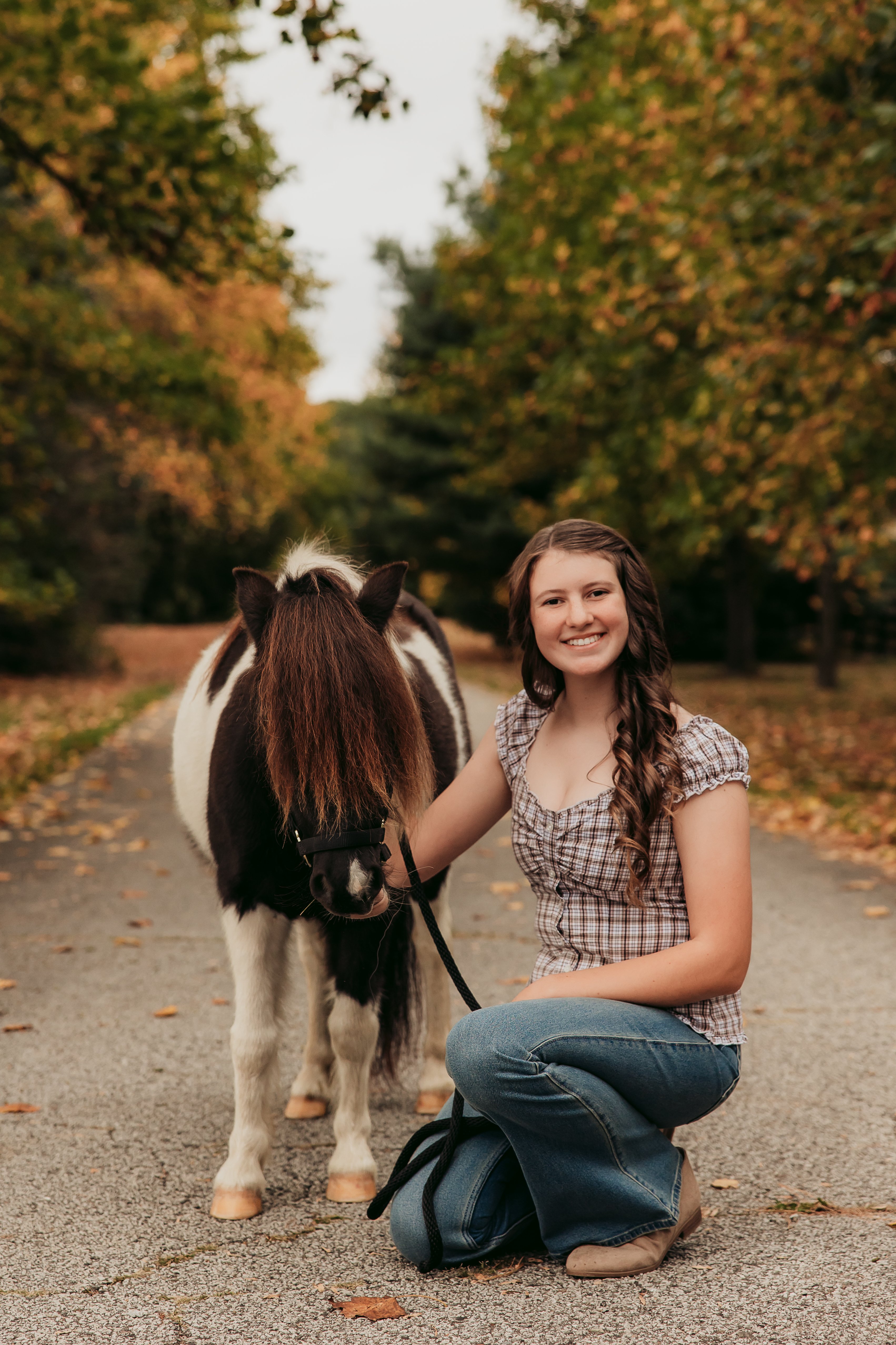 Maizie and Her Horses